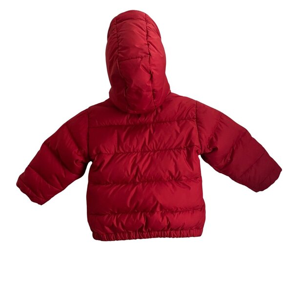 Polo By Ralph Lauren Boys Red Down Puffer Jacket Size 18M Hooded Winter Coat - Picture 3 of 16